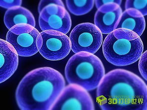 生物3D打印熱潮 Nano Dimension跨界布局生物技術(shù)新賽道