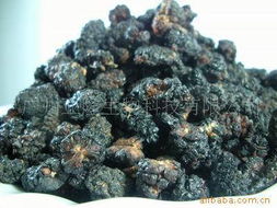 廣州亞隆生物科技 融合前沿生物技術(shù)的干果產(chǎn)品創(chuàng)新實(shí)踐