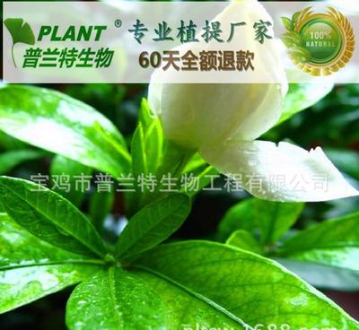 探究2α-羥基熊果酸的多濃度規(guī)格及其在技術(shù)開(kāi)發(fā)中的應(yīng)用前景